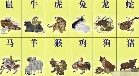 12ФŮ䌦 ʮФѻ