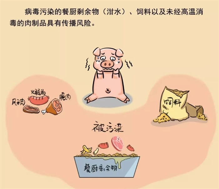 ǧk ɶֹˮιi