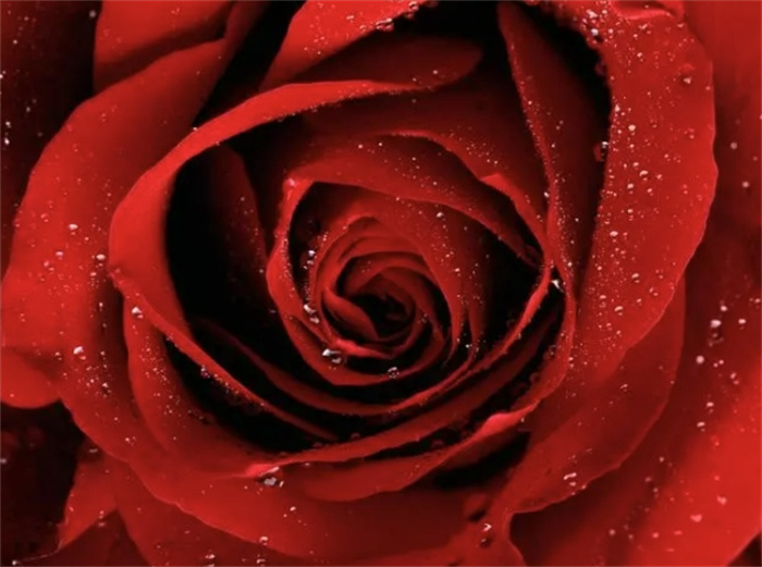 ϵһؔ(ci)\(yn)(g)ФŮ