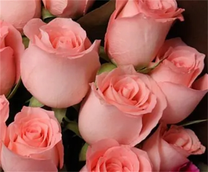 ϲ¶^(gu)Ф\(yn)ڣһ