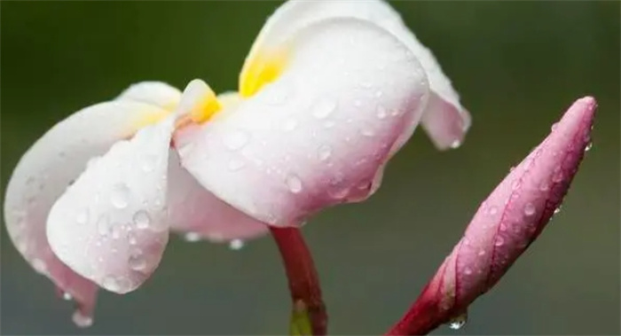 Ը^ֱˬ3Фĺsyõ؈(bo)Фu