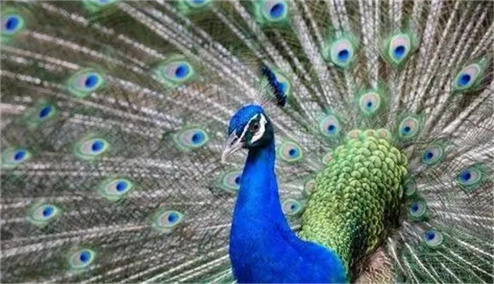 ע4ФòcAһԽ(li)Խ