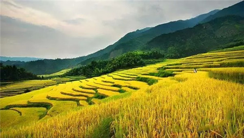 中國(guó)十大最詭異的景點(diǎn),有圖有真相膽小慎進(jìn)