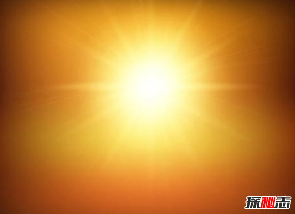 最喜歡曬太陽的10種動物 蛇排第四,第一沒人能猜到