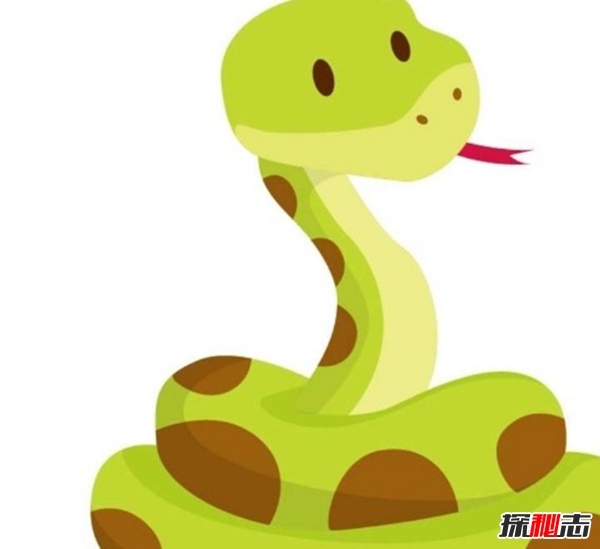 最喜歡曬太陽的10種動物 蛇排第四,第一沒人能猜到
