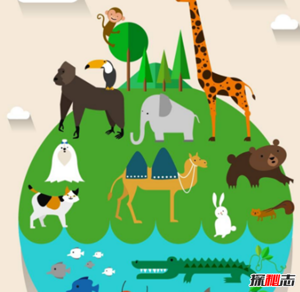 地表最強壯的十大動物 老虎獅子僅排第二第三
