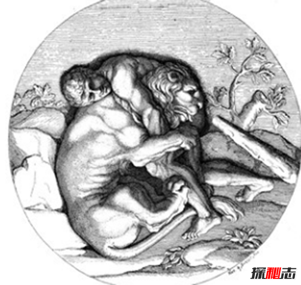 獅子象征著什么?獅子的十大特點(diǎn)和本領(lǐng)(上帝的使者)