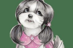 2021ٹŮעЩ?\(yn)̫qӰ푣עⷽ(zi)