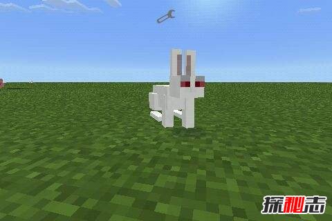 ҵŴ[عһNֻ0.004%ĎʳF(xin)