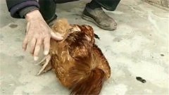 uǰ残ֱʲôԭ uʲôֱ(hu)