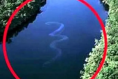 Ї(gu)˵һlߣʮ׵ľ(Ŀ߇)