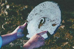 īݰl(f)F(xin)Ƭ  UFOƬ  Їh֣