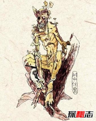 樹中住鬼