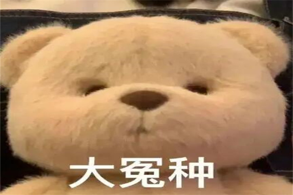 ԩNʲô˼?ǂԩ^((jng)ЩЦ)