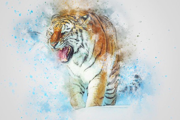 Iĕr(sh)gбI(r(sh)ӕr(sh))/(r(sh))