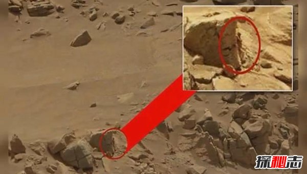 nasa公布外星人,六大證據(jù)表明外星人的存在(有圖有真相)