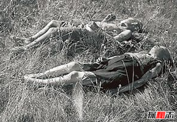 1942m`¼ MһһK܊(w܊Є)