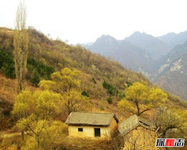 十五大靈異事件,曼谷監(jiān)獄囚犯鬼魂附體(念經(jīng)超度)