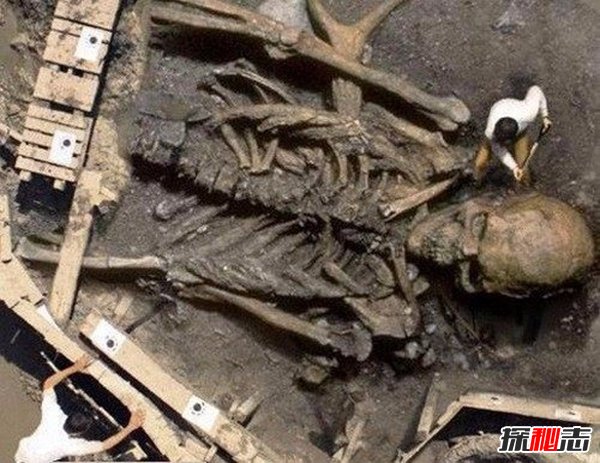 中國發(fā)現(xiàn)65米巨人骸骨,巨人真的存在嗎?(真相揭秘)