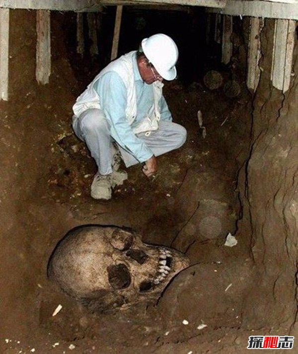 中國發(fā)現(xiàn)65米巨人骸骨,巨人真的存在嗎?(真相揭秘)