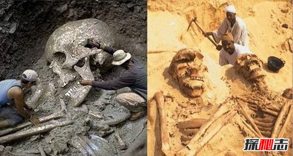 中國發(fā)現(xiàn)65米巨人骸骨,巨人真的存在嗎?(真相揭秘)