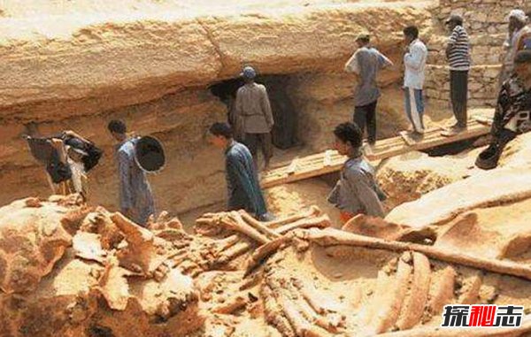 古代有巨人嗎,中外都挖出過古巨人遺骸