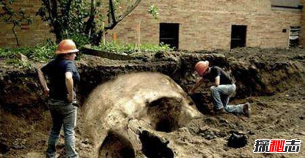 古代有巨人嗎,中外都挖出過古巨人遺骸
