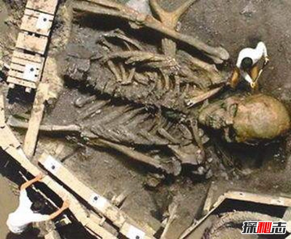 古代有巨人嗎,中外都挖出過古巨人遺骸