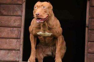 ĹȮ/ҧm(x)(zhn)120犣