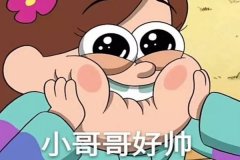 Vʲô˼?Oԑĳ(g)(e(dng))