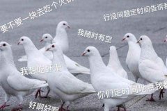 ˬsʲô˼?fõļs(hu)](ͷͬx)