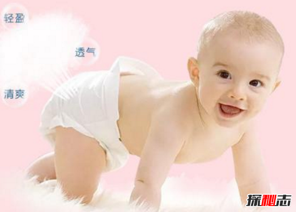 德國(guó)奶牛被穿上尿不濕,真相驚人!新規(guī)引起農(nóng)主不滿發(fā)起抗議