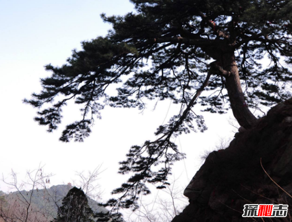 驚呆!為什么情侶不能爬泰山?爬泰山的注意事項(xiàng)
