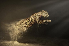 N^¼ƌW(xu)J(rn)ڽӽ