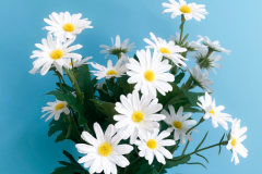 СrôB(yng)Ɯضӏ(qing)ȡ