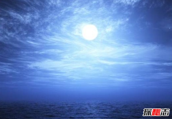 什么花在夜晚開放?十大只在夜間開放的花朵