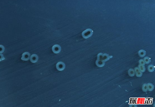 太空里有人尸嗎?宇航員在太空的十大有趣經(jīng)歷