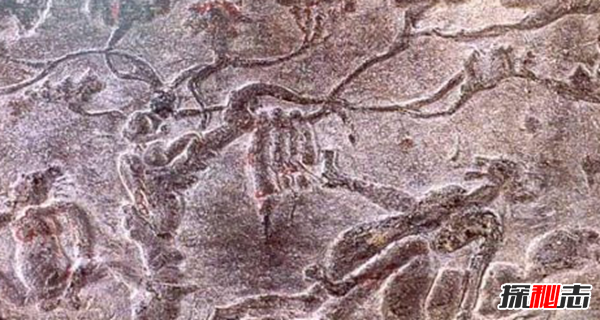 扶桑樹是什么樹?關(guān)于神話扶桑樹的傳說