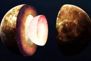 ľꑵ؆]ꑵأҪɚ͵Mɣ