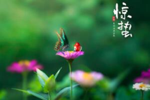 @U(ji)ĺxʲôٴr(sh)(ji)_(ki)ʼÿ35̖(ho)6̖(ho)