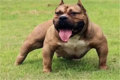 f(shu)\(chng)ȻQ쐺ħݱŭ