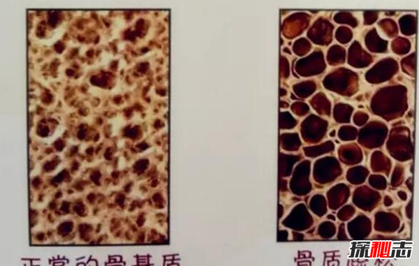 ʲôԭ¹|?|ɵʮYί